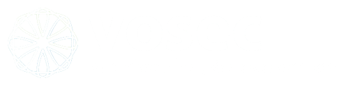 Vosec – Vochtwering, Gevelwerken, Schilderwerk en CV!
