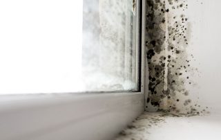 vocht in huis
